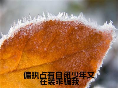 偏执占有自闭少年又在装乖骗我小说全文免费阅读无弹窗-顾清越景湛全文在线阅读