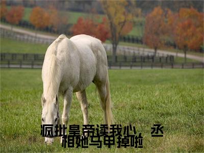 主角是徐宁卿君瑾策的小说叫什么名字疯批皇帝读我心，丞相她马甲掉啦-老书虫书荒推荐热点小说疯批皇帝读我心，丞相她马甲掉啦（徐宁卿君瑾策）