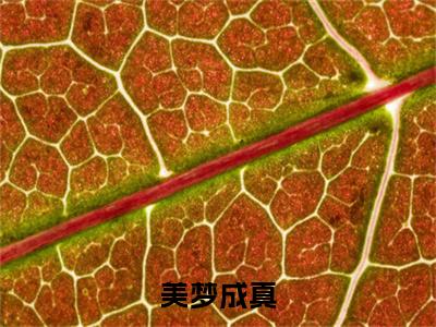 美梦成真（孟真）精彩小说-小说孟真全文无删减版免费阅读