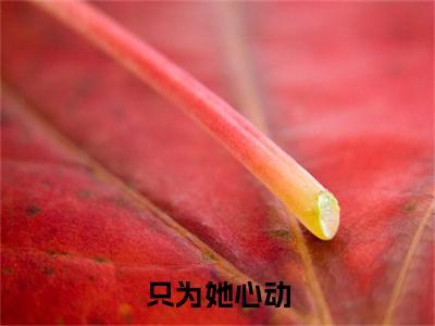 小说谢定御江霓（只为她心动）大结局免费阅读-只为她心动最新热门小说全文阅读