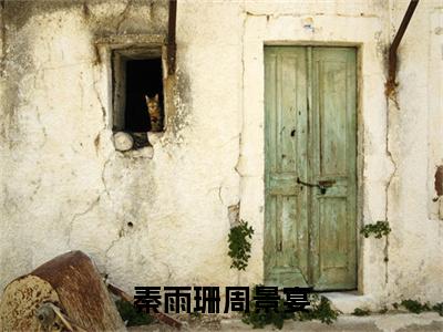 周景宴秦雨珊秦雨珊周景宴全文免费阅读_（周景宴秦雨珊免费阅读无弹窗）秦雨珊周景宴最新章节列表笔趣阁