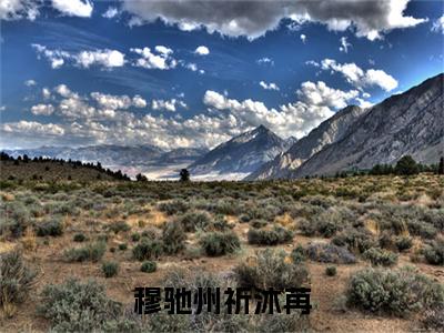 祈沐苒穆驰州全文免费大结局 穆驰州祈沐苒小说在线阅读