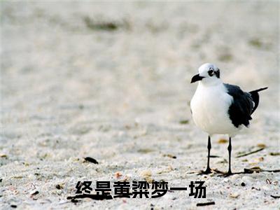 终是黄粱梦一场免费小说-终是黄粱梦一场完结版在线阅读