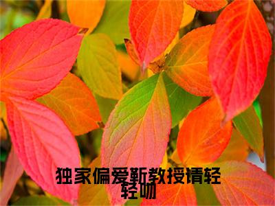 独家偏爱靳教授请轻轻吻小说免费(时宁靳宴)全文免费阅读无弹窗-独家偏爱靳教授请轻轻吻小说全文免费阅读-笔趣阁