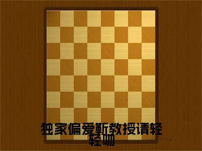 独家偏爱靳教授请轻轻吻（时宁靳宴）全文免费阅读无弹窗大结局_时宁靳宴小说免费最新章节列表_笔趣阁