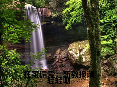 独家偏爱：靳教授请轻轻吻（时宁靳宴）最新小说全文阅读-2023热点小说独家偏爱：靳教授请轻轻吻（时宁靳宴）最新章节免费阅读