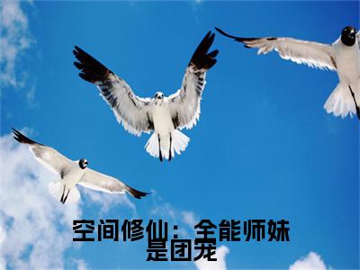 空间修仙：全能师妹是团宠（洛翩）全文免费阅读无弹窗_（洛翩的小说全文免费阅读）空间修仙：全能师妹是团宠小说最新章节列表无删减_笔趣阁