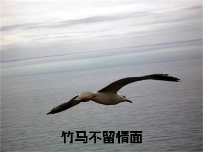  简橙周庭宴(竹马不留情面，我换做他小婶气疯他)全文免费阅读_ 简橙周庭宴(竹马不留情面，我换做他小婶气疯他)免费在线阅读_笔趣阁(竹马不留情面，我换做他小婶气疯他)