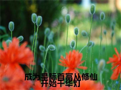 成为星际首富从修仙开始千华灯小说最新试读_千华灯是(成为星际首富从修仙开始千华灯免费阅读最新章节列表)_笔趣阁（千华灯）