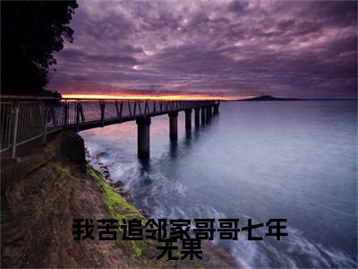 我苦追邻家哥哥七年无果小说全文免费阅读无弹窗大结局-桑初禾陆烬时 小说在哪里可以看