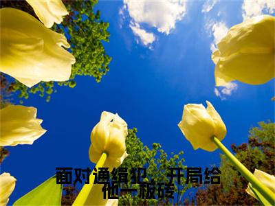 面对通缉犯，开局给他一板砖（苏墨）免费阅读最新章节无弹窗 苏墨完整版小说在线阅读