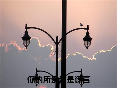 你的所爱皆是谎言（安愿燕方聿）全文免费阅读无弹窗大结局-你的所爱皆是谎言免费阅读全文大结局-笔趣阁