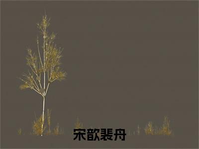 宋歆裴舟（宋歆裴舟）全文免费阅读_宋歆裴舟免费阅读最新章节列表笔趣阁（宋歆裴舟）