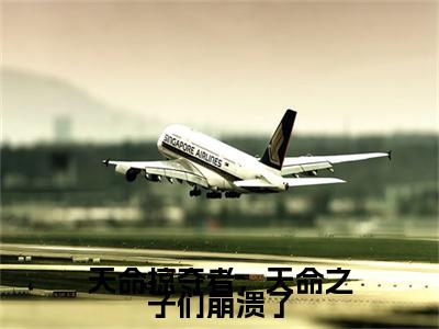 天命掠夺者,天命之子们崩溃了(东方破)小说全文免费阅读无弹窗大结局_天命掠夺者,天命之子们崩溃了最新章节列表