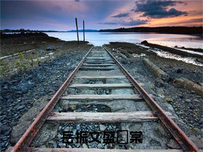 岳振文盛玥棠（盛玥棠岳振文）全文免费阅读_岳振文盛玥棠全文阅读_笔趣阁（盛玥棠岳振文）