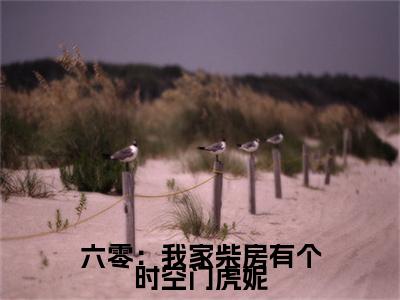 六零：我家柴房有个时空门虎妮（虎妮）小说最新章节-小说六零：我家柴房有个时空门虎妮（虎妮）完整版全文在线赏析