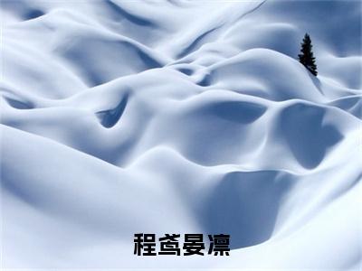 程鸢晏凛（程鸢晏凛）小说全文免费阅读正版无弹窗_程鸢晏凛小说免费阅读全文无弹窗_笔趣阁