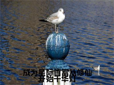 千华灯（成为星际首富从修仙开始千华灯）全文免费阅读无弹窗大结局_（成为星际首富从修仙开始千华灯无弹窗）最新章节免费阅读_笔趣阁（千华灯）
