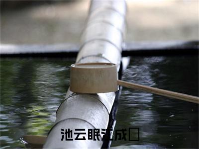 江成璟池云眠小说全文免费阅读_(江成璟池云眠)池云眠江成璟最新章节列表笔趣阁