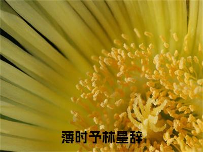热门小说薄时予林星辞 全文免费阅读无弹窗大结局-薄时予林星辞全文无弹窗免费阅读大结局