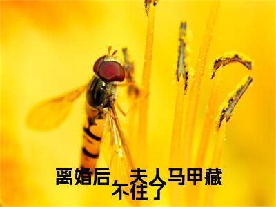 沈映琼薄千豫（离婚后，夫人马甲藏不住了）全文免费阅读无弹窗大结局_沈映琼薄千豫最新章节列表_笔趣阁（离婚后，夫人马甲藏不住了）