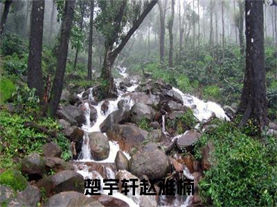 楚宇轩赵雅楠（楚宇轩赵雅楠）在哪免费看-小说（楚宇轩赵雅楠）楚宇轩赵雅楠全文完整版免费阅读