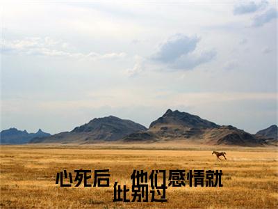 戴松南唐婉言(心死后,他们感情就此别过)全文免费阅读无弹窗大结局_心死后,他们感情就此别过小说在线阅读无删减