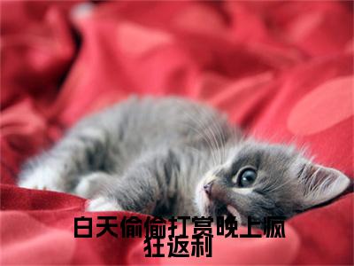 白天偷偷打赏晚上疯狂返利全文免费在线阅读_（范可情免费阅读无弹窗）白天偷偷打赏晚上疯狂返利全文免费完结版阅读（范可情）