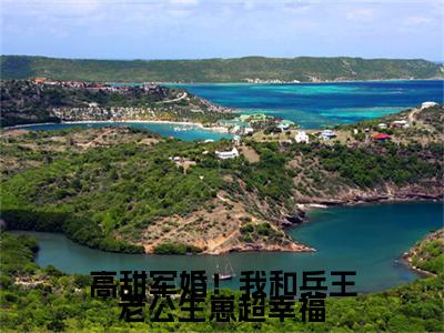 (热推新书)（高甜军婚！我和兵王老公生崽超幸福）全文免费阅读无弹窗大结局- 林鸣方盈全文阅读无弹窗