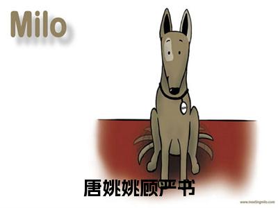 顾严书唐姚姚(唐姚姚顾严书)全文免费阅读无弹窗完整版,(顾严书唐姚姚)免费阅读全文最新章节列表_笔趣阁