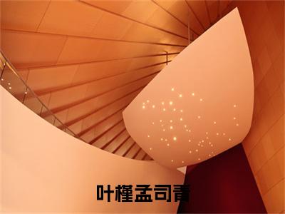 孟司青叶槿免费小说,叶槿孟司青全文免费阅读无弹窗大结局