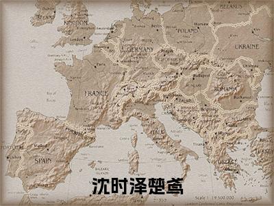 小说沈时泽楚鸢免费在线阅读-小说主角叫沈时泽楚鸢的小说完整版免费读全文