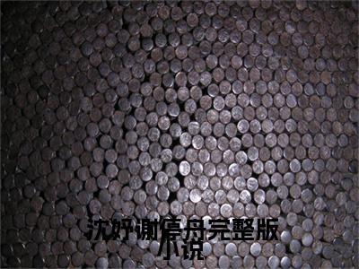 引凤台（ 沈妤谢停舟）完结版小说-引凤台小说全文免费阅读笔趣阁