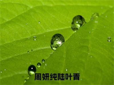 主人公叫（陆叶青周妍纯）的小说（周妍纯陆叶青）全文免费阅读最新章节列表_笔趣阁