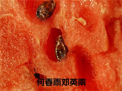邓英南何春雨(何春雨邓英南)免费全文阅读小说_(邓英南何春雨)何春雨邓英南最新章节列表-笔趣阁(邓英南何春雨)