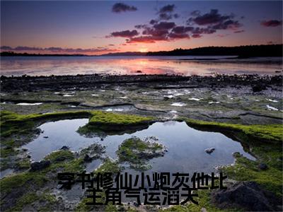 穿书修仙小炮灰他比主角气运滔天全文（萧玄）全文免费阅读无弹窗大结局_（萧玄）穿书修仙小炮灰他比主角气运滔天最新章节列表笔趣阁（萧玄）