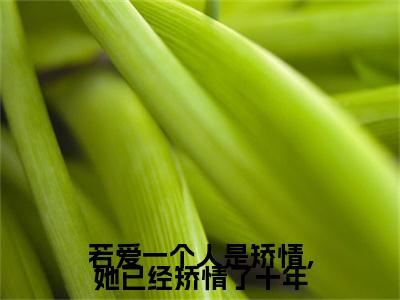 （沈小念纪琛）若爱一个人是矫情，她已经矫情了十年全文免费阅读无弹窗大结局_若爱一个人是矫情，她已经矫情了十年最新章节列表笔趣阁（沈小念纪琛）