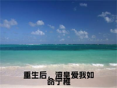 重生后，渣皇爱我如命宁稚小说全文-李琰宁稚无弹窗免费阅读
