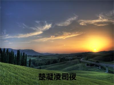 楚凝凌司夜（楚凝凌司夜）在哪免费看-楚凝凌司夜小说（楚凝凌司夜）全文完整版免费阅读
