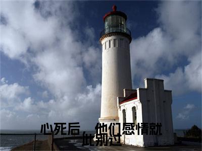 心死后，他们感情就此别过（唐婉言戴松南）全文免费阅读无弹窗大结局_(心死后，他们感情就此别过阅读全文大结局)唐婉言戴松南最新章节列表（唐婉言戴松南）