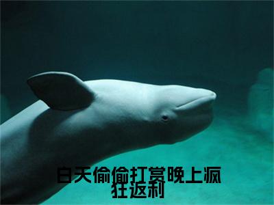 白天偷偷打赏晚上疯狂返利：范可情（范可情）全文免费阅读无弹窗大结局_（白天偷偷打赏晚上疯狂返利）范可情最新章节列表笔趣阁（白天偷偷打赏晚上疯狂返利：范可情）