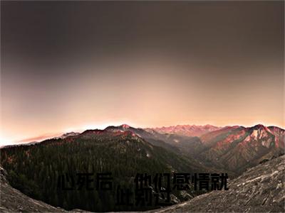 心死后,他们感情就此别过全文免费阅读大结局_心死后,他们感情就此别过(唐婉言戴松南)完整版在线赏析