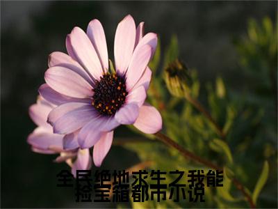 全民绝地求生之我能捡宝箱全集章节小说免费阅读完整版（ 莺莺燕燕蔡骏）- 莺莺燕燕蔡骏小说免费阅读