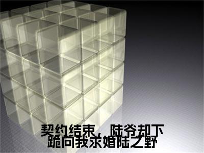 契约结束，陆爷却下跪向我求婚陆之野全文免费阅读无弹窗大结局，慕语陆之野小说最新章节