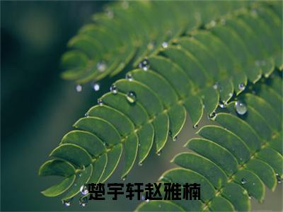 楚宇轩赵雅楠小说最新章节阅读-娇妻火辣辣：帝少放心宠全文免费试读