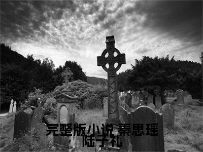  秦思瑶陆子礼正版小说最新章节在线阅读-前夫 ，高攀不起（ 秦思瑶陆子礼）全文无弹窗阅读