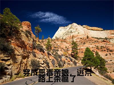 穿成恶毒亲娘，逃荒路上杀疯了（苏十一）老书虫推荐小说热文-穿成恶毒亲娘，逃荒路上杀疯了最新更新免费阅读