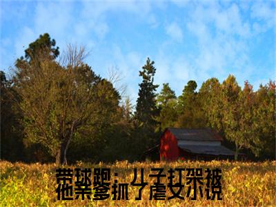  唐宴时周瑜妍全本资源（带球跑：儿子打架被他亲爹抓了）全文免费阅读无弹窗大结局_带球跑：儿子打架被他亲爹抓了最新章节列表（ 唐宴时周瑜妍）