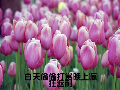 白天偷偷打赏晚上疯狂返利（范可情）全文小说在线阅读-白天偷偷打赏晚上疯狂返利全章节最新阅读