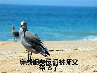 落重曦全文推荐阅读，穿成炮灰反派被师父带飞了热门榜单免费新书阅读
